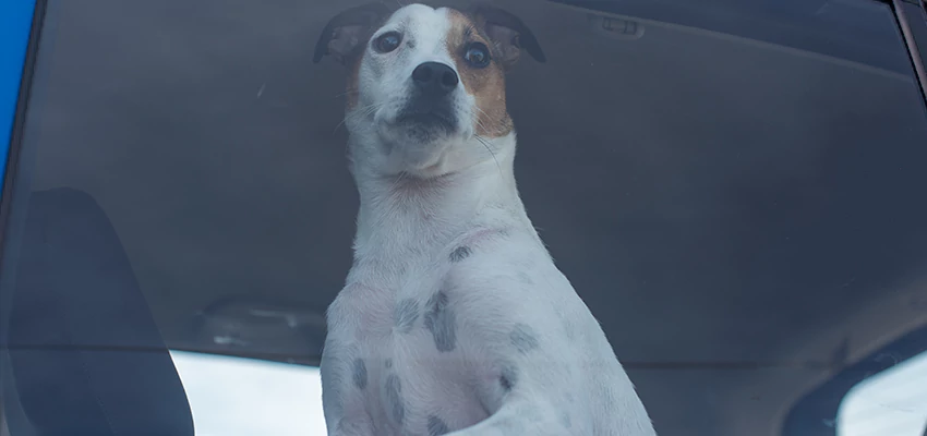 Car Lockout Solutions in Wildomar, California